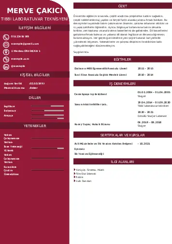 Laboratuvar Teknisyeni Cv Örnekleri cv indir